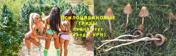 герыч Наволоки
