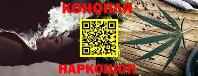 бошки Будённовск