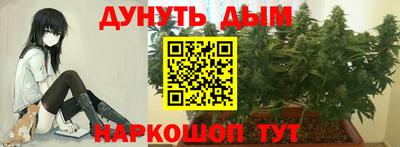 гидропоника Гагарин